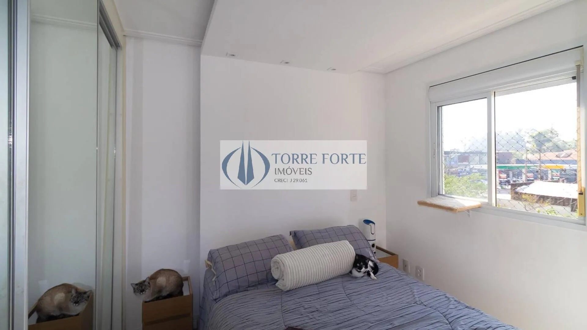 Imagem Lindo apartamento com 66 m², 2 dormitórios, 2 banheiros, na Vila Formosa