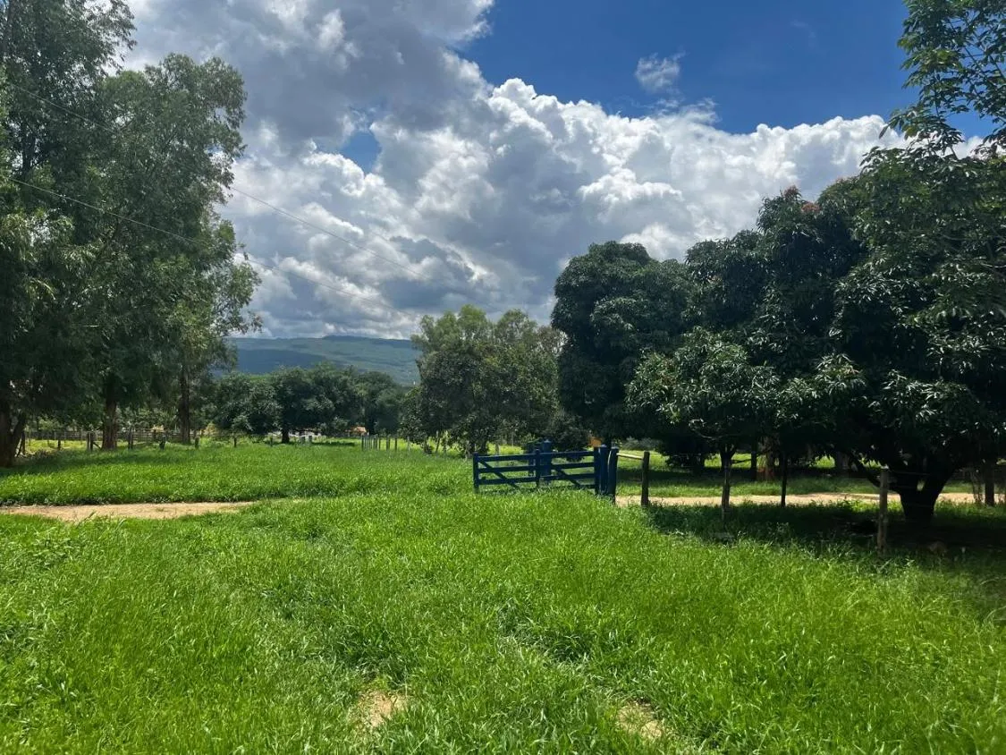Imagem FAZENDA À VENDA ? PORTEIRA FECHADA / BUENÓPOLIS/MG área total de 223 hectares