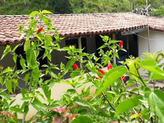 Imagem Sitio a Venda Bairro do Turvo Zona Norte 65 Mil Metros
