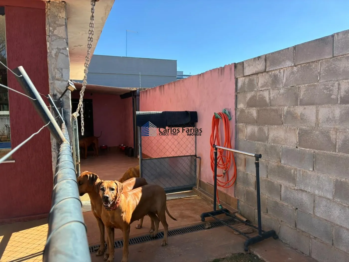 Imagem Casa em Condomínio para Venda em Brasília, Setor Habitacional Tororó (Jardim Botânico), 1 dormitório, 1 banheiro