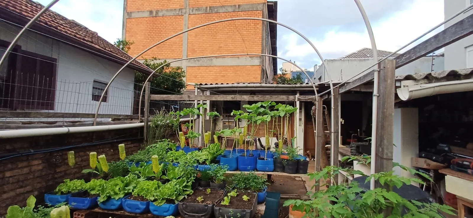 Imagem Vende-se casa de madeira, com dois dormitórios, banheiro, sala e cozinha. Localização privilegiada no bairro Jardim Botânico. Área do terreno com 6,6mx44m.