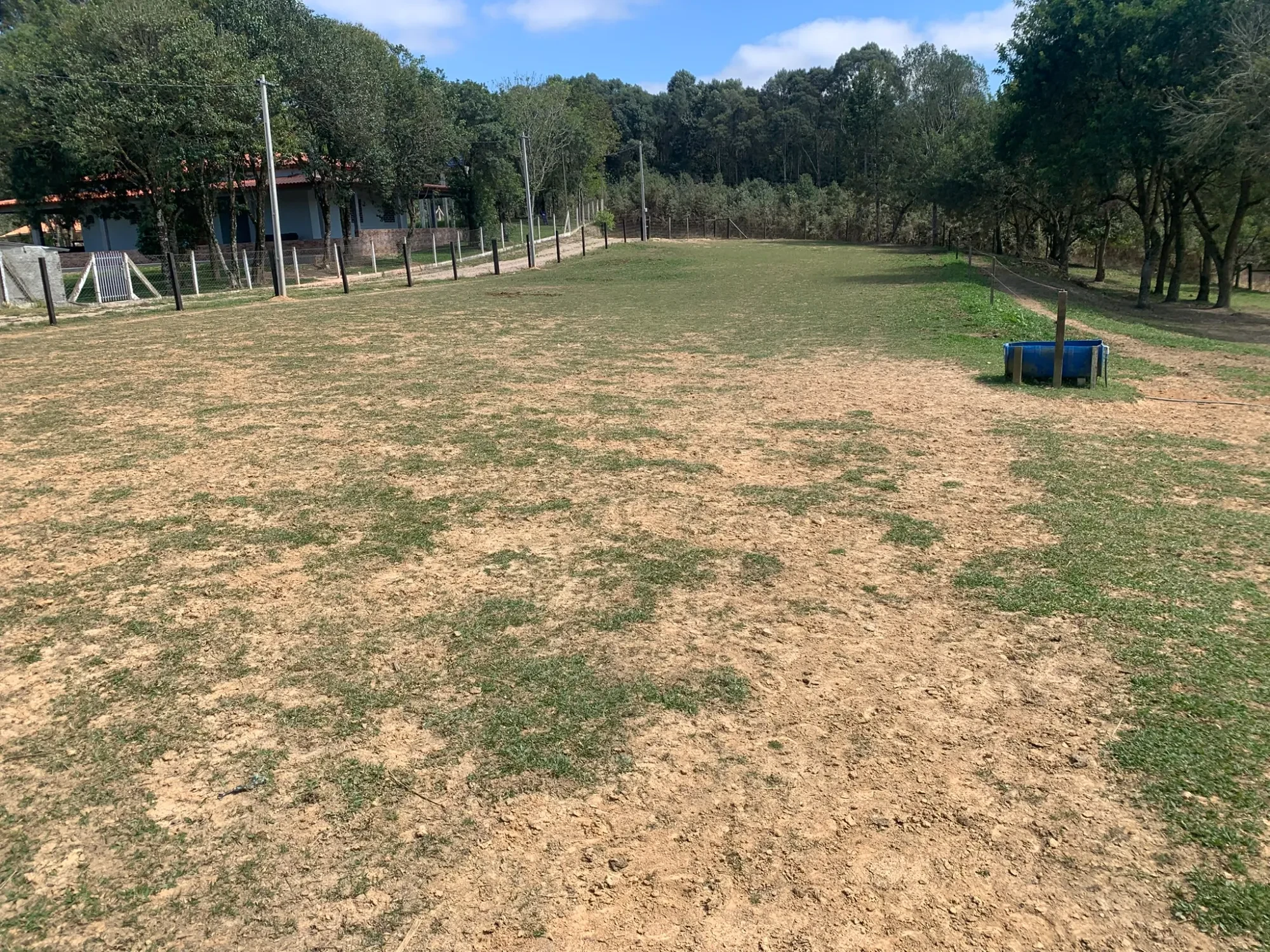 Imagem Chácara com 3 Quartos à Venda, 5000 m² em Colonia Marcelino - São José dos Pinhais
