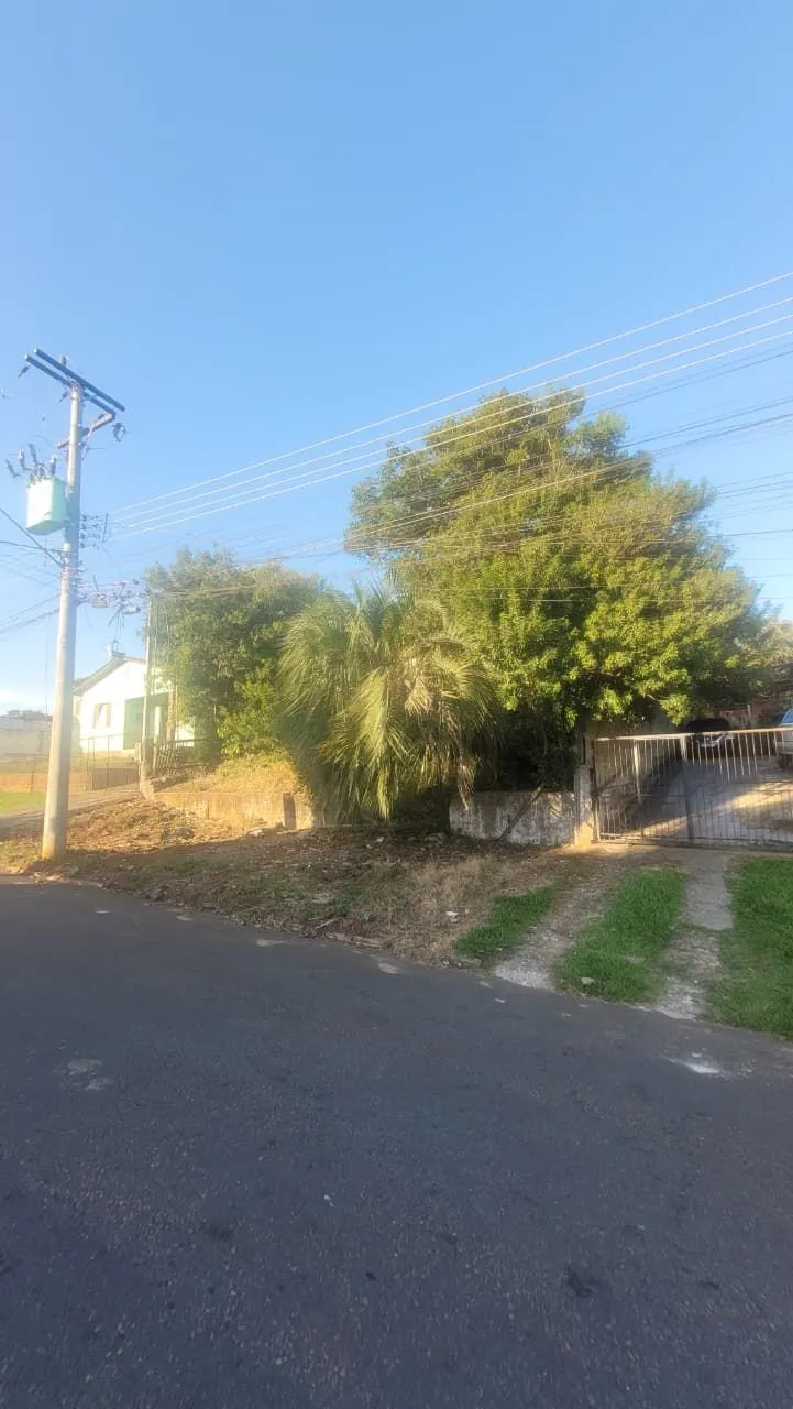 Imagem Terreno 13x30 no Leteamento Vista Alegre em Cachoeirinha