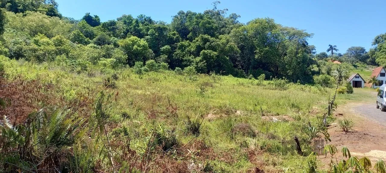 Imagem Areá para Investir - Santo Antônio da Patrulha