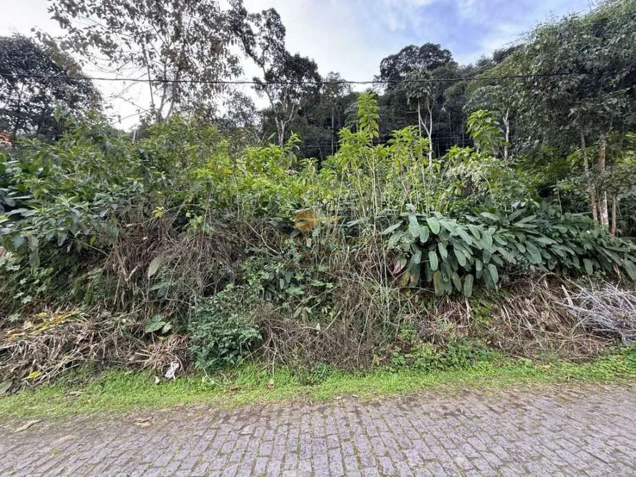 Imagem Terreno para Venda em Teresópolis / RJ no bairro Albuquerque