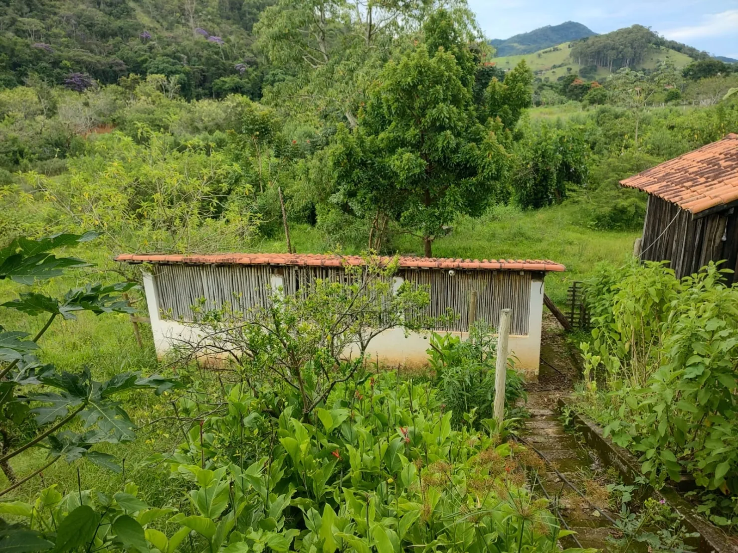 Imagem Chácara à venda 3 Quartos, 1 Suite, 20 Vagas, 24000M², Registro, Taubaté - SP
