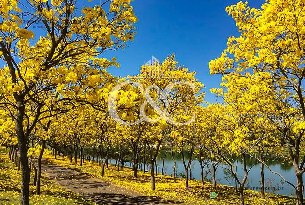 Imagem Terreno à venda na Quinta da Baroneza, 3.040m², declive e vista panorâmica
