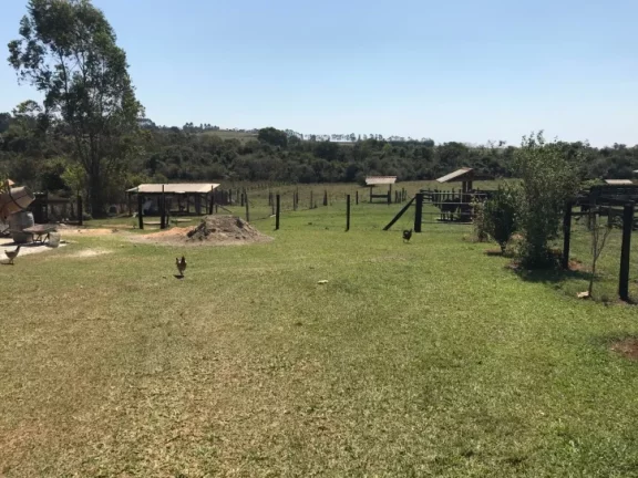 Imagem Sitio formado com 2,7 alqueires próximo ao km 154 Castello Branco