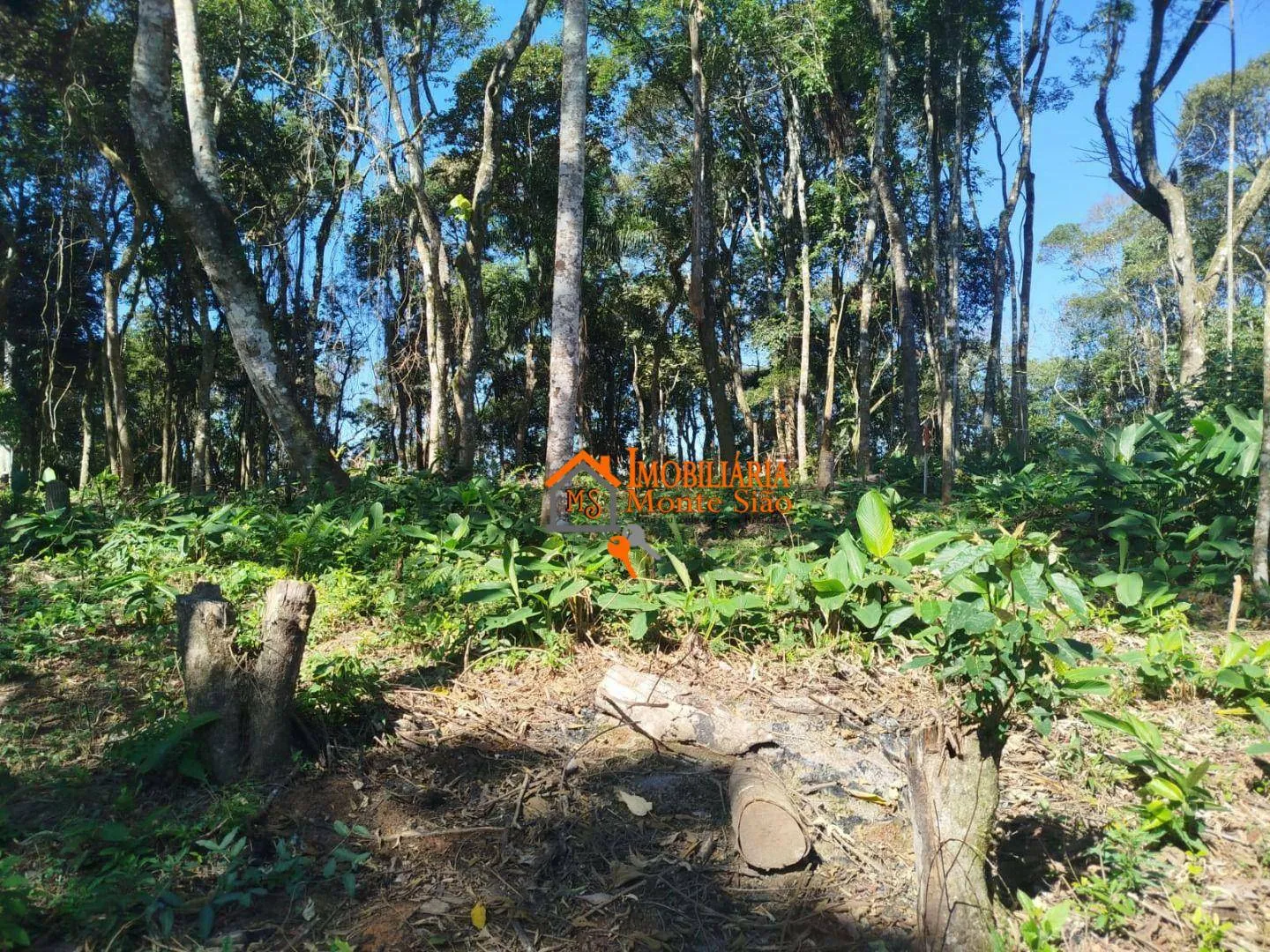 Foto do imóvel Terreno à venda, 3.068m² por R$ 212.000 - Parque Santos Dumont - Guarulhos/SP