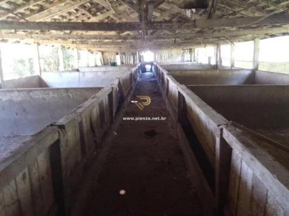 Imagem Granja para Venda em Ipumirim, Interior