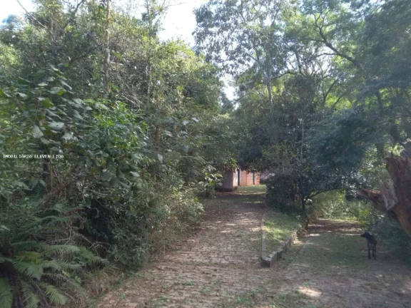 Imagem Sítio / Chácara para Venda em Campo Limpo Paulista / SP no bairro Chácara São João