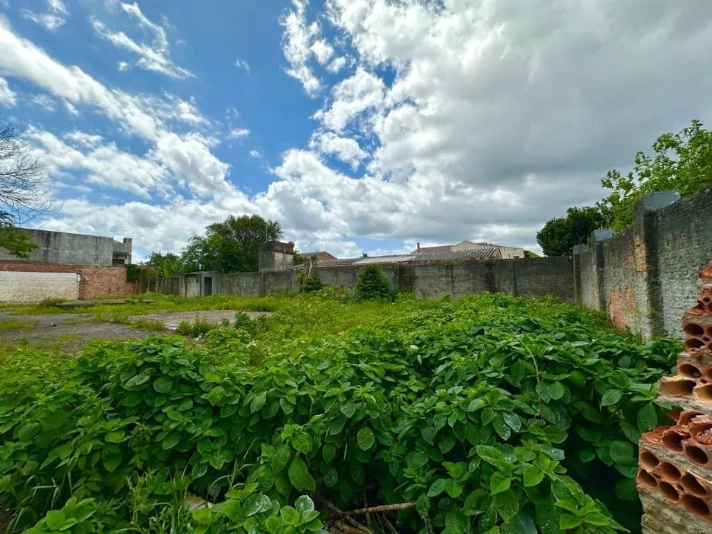 Imagem Terreno em Harmonia