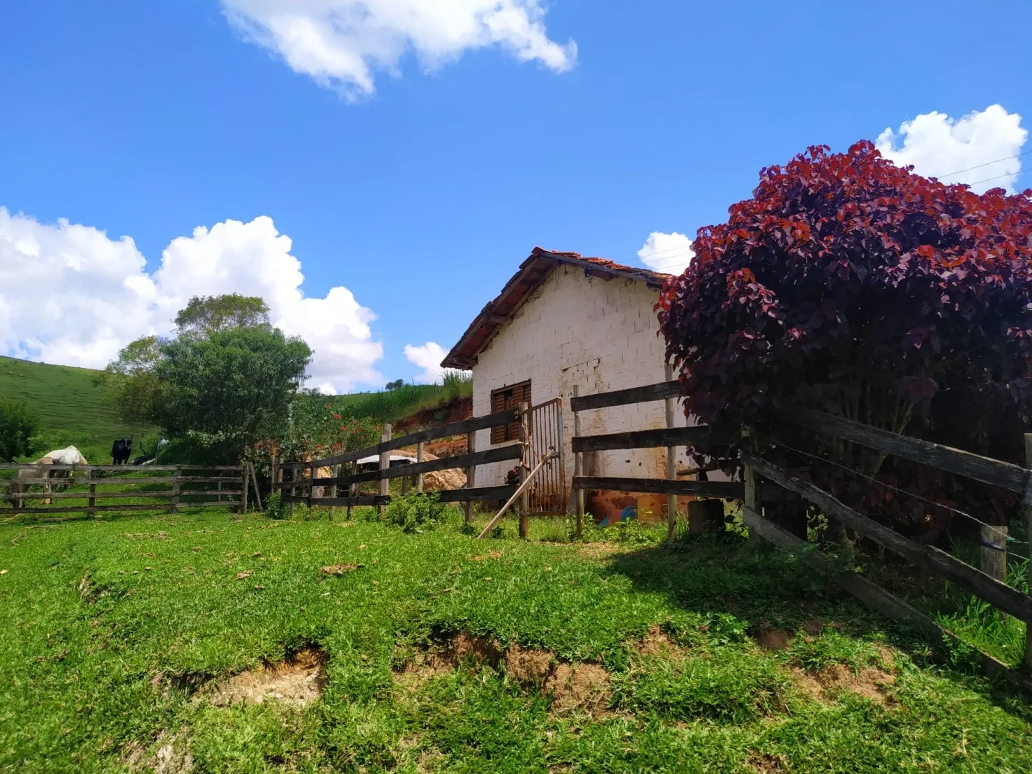 Imagem Chácara à venda 2 Quartos, 411400M², Zona Rural, Cunha - SP