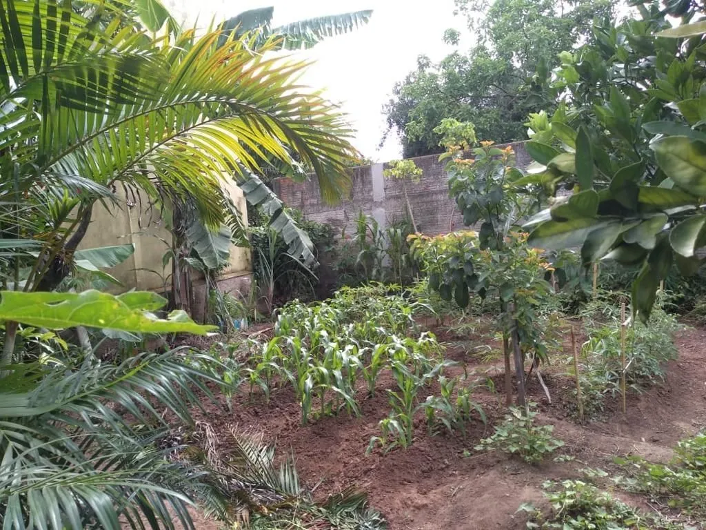 Imagem Terreno em Marechal Rondon