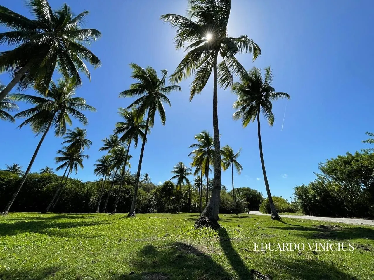 Imagem Sítio dos Coqueiros - Terreno 1.000 m² à Venda na Terceira Praia do Morro de São Paulo