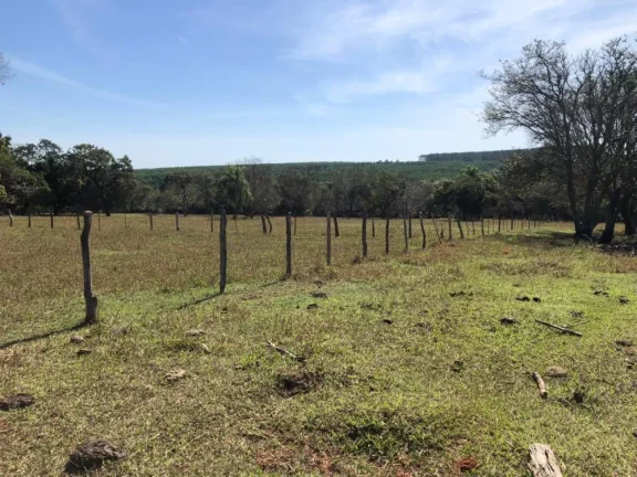 Imagem Sítio a VENDA, Paulistânia/SP