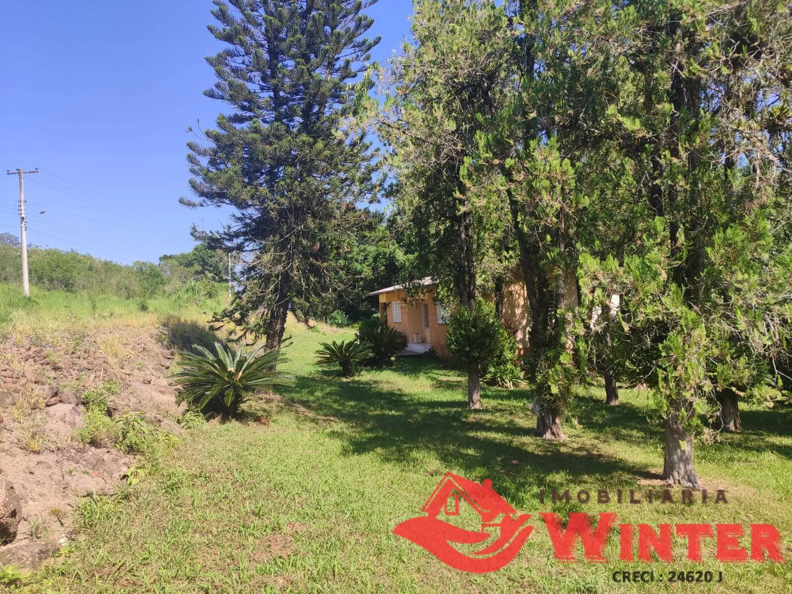 Imagem Área de terras com 7 hectares com casa e galpão em Vale do Lobo, Feliz.