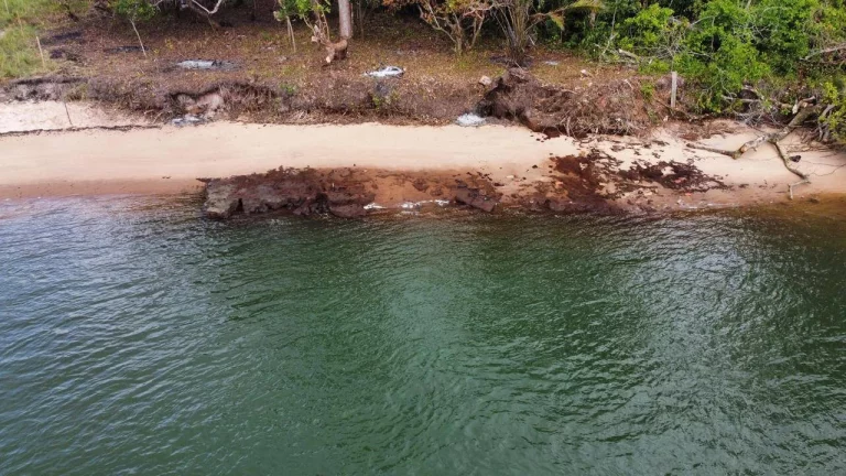 Imagem GLEBAS FRENTE MAR