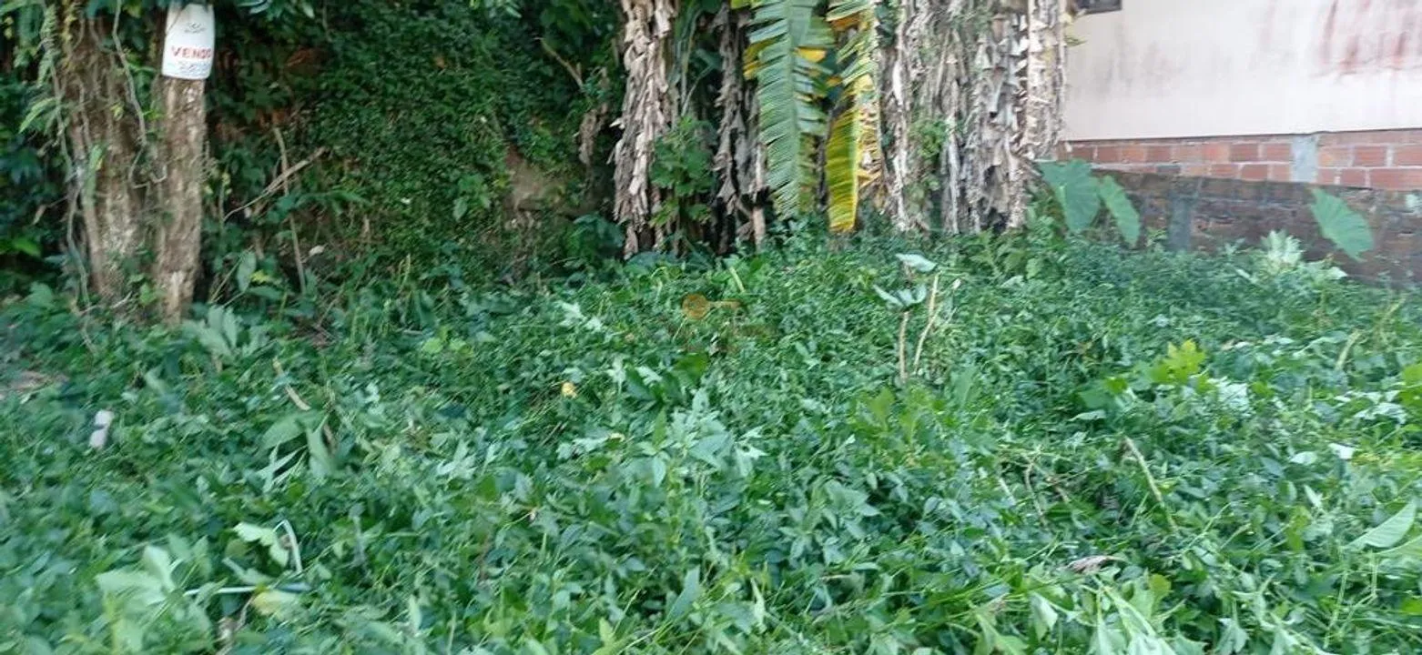 Imagem Terreno para Venda em Teresópolis / RJ no bairro Granja Guarani