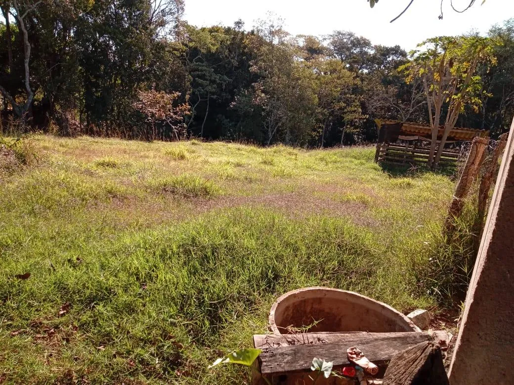 Imagem Vendo um excelente sítio na cidade de Piracema/Mg com 5 hectares de terra