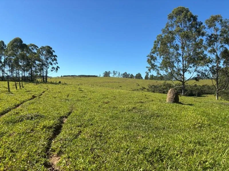Imagem FAZENDA À VENDA - DESTERRO DE ENTRE RIOS (MG) 51 hectares de área total
