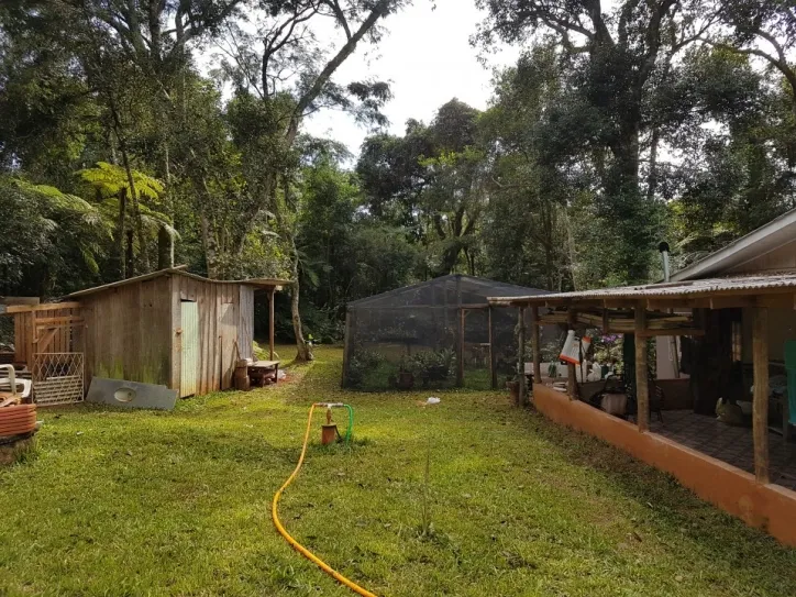 Imagem Chácara 8000m2 com Piscina e Pomar em São Salvador Cascavel