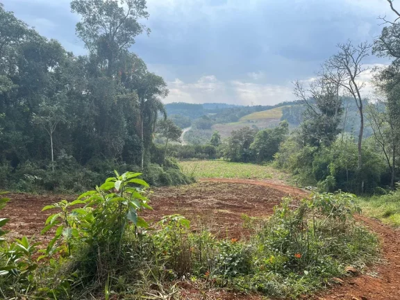 Imagem Terreno para Venda em Concórdia, Rural