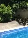 Imagem Imóvel Comercial à Venda, 630 m² em Jaraguá - Maceió