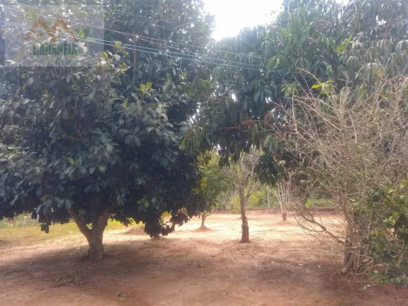 Imagem CHACARA CANANÉIA