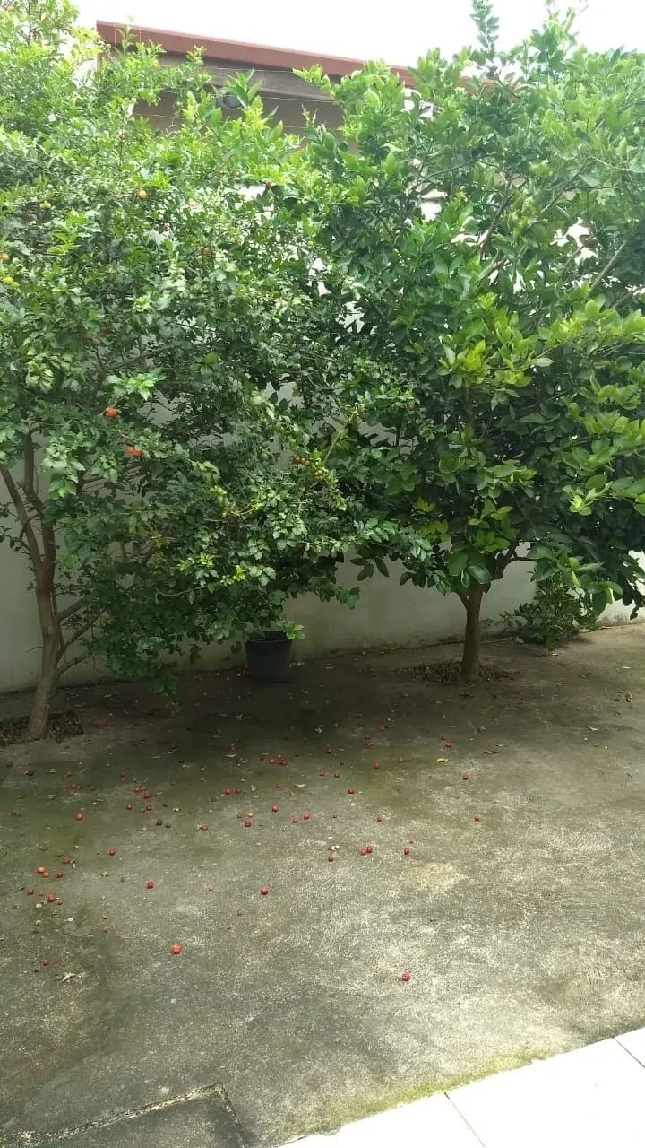 Imagem Casa à venda 3 Quartos, 1 Suite, 2 Vagas, 200M², Água Preta, Pindamonhangaba - SP