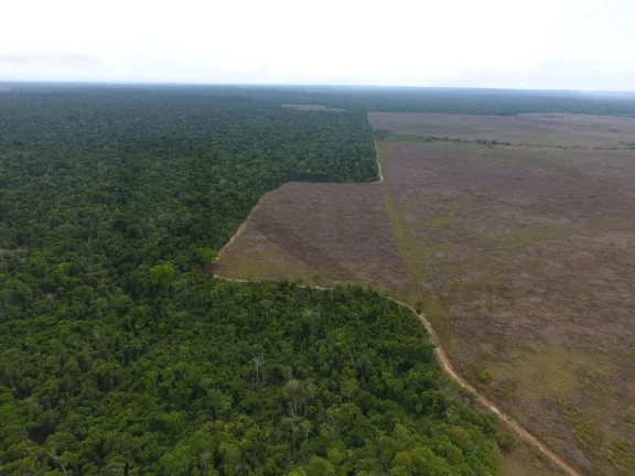 Imagem CASAL IMÓVEIS VENDE FAZENDA EM PARAGOMINAS 700 ALQUEIRES