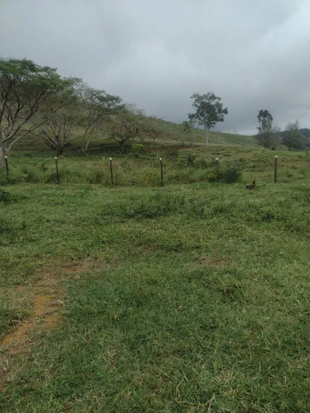 Imagem Terreno à Venda em São Domingos do Prata/MG com 25,5 hectares de terra