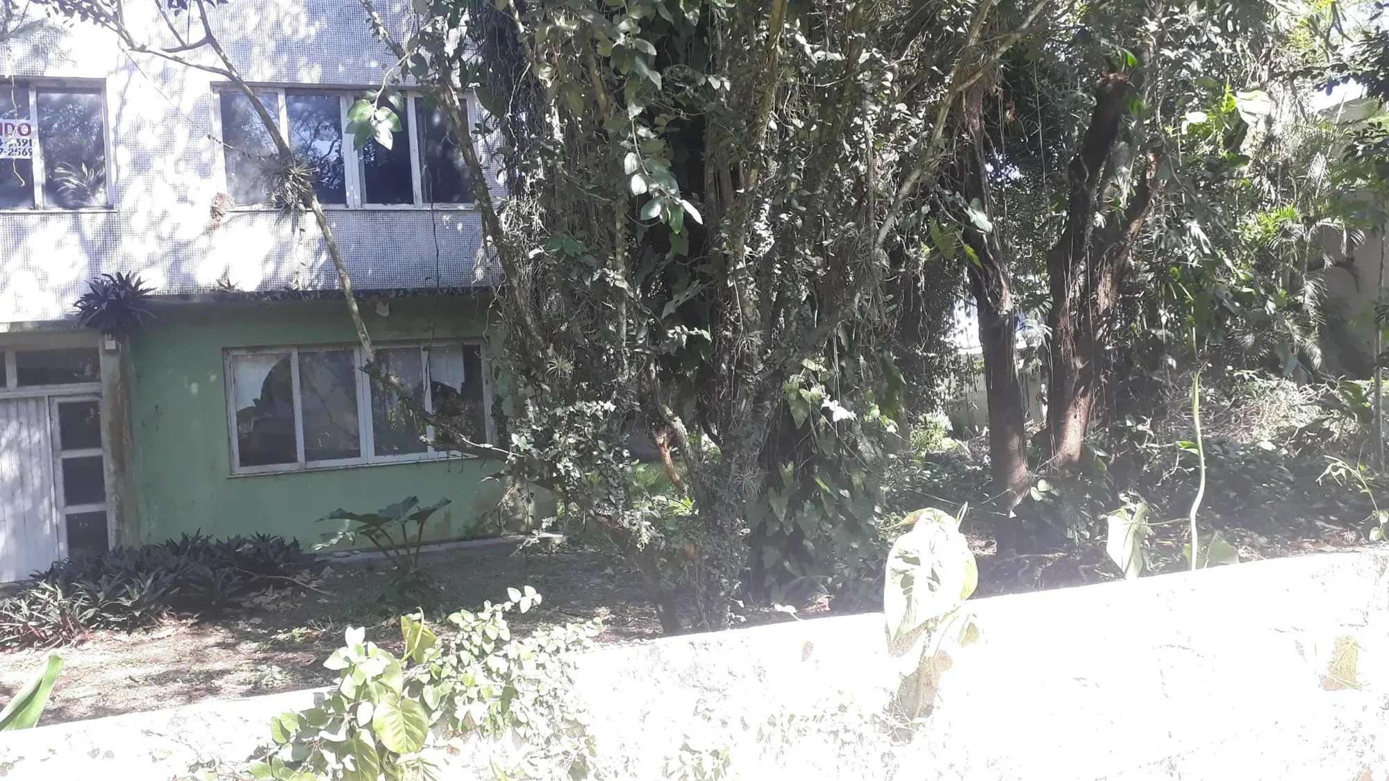 Imagem Terreno à Venda, 1196 metros em Itaipu - Niterói
