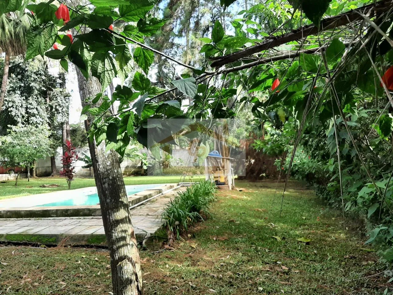 Imagem Terreno com 1500 metros, imóvel Térreo com 181 m2, 3 quartos!