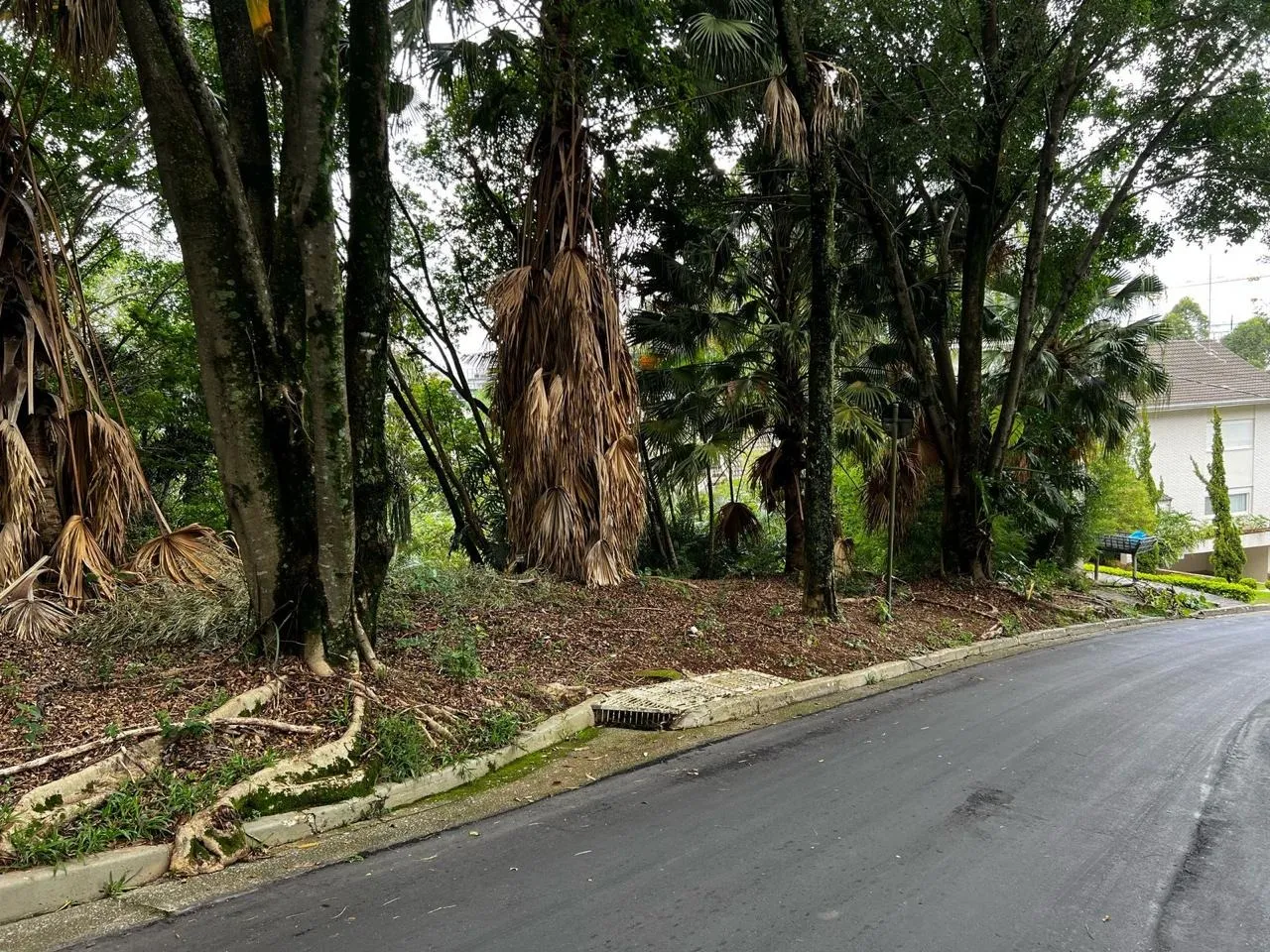 Imagem Terreno à Venda em Condomínio no Residencial Tamboré - Barueri-SP: 1.328,00 m² de Área