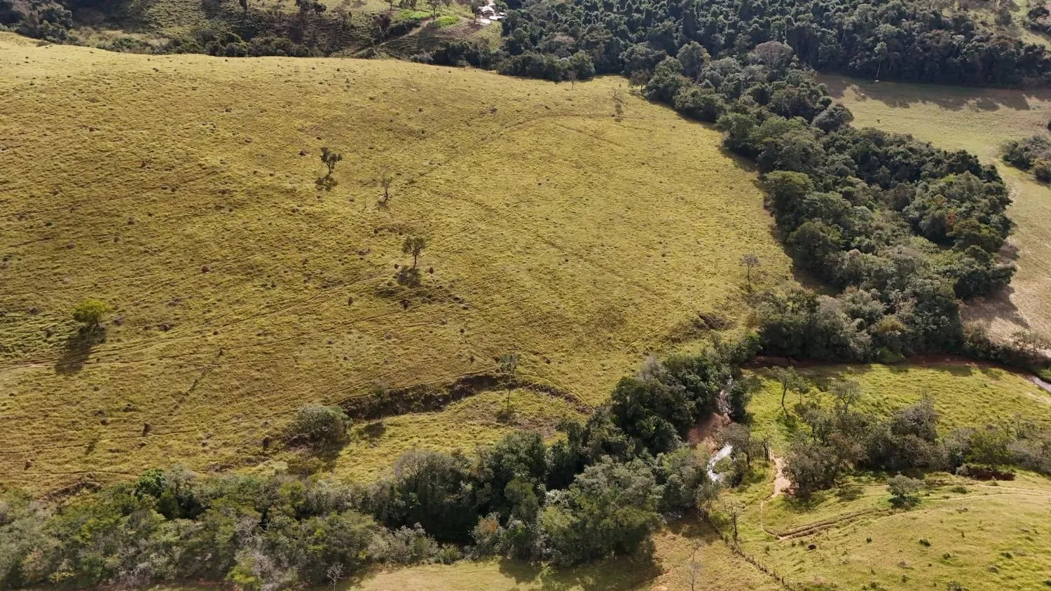 Imagem Fazenda à Venda em Belo Vale/MG ? 42 Hectares | R$ 2.800.000,00
