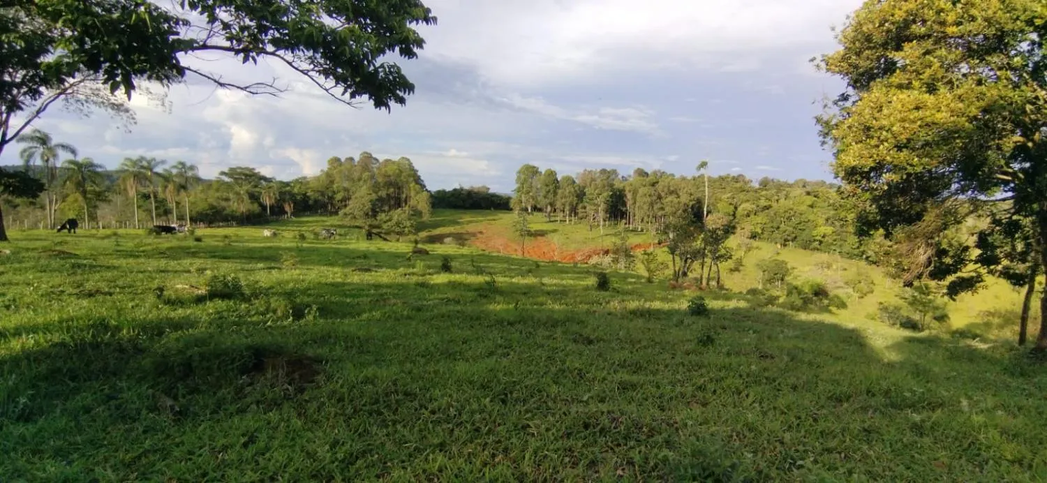 Imagem Vendo um belíssimo sítio em Carmópolis de Minas com 10 hectares de terra,