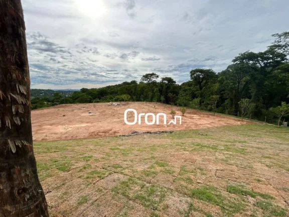 Imagem Terreno à venda, 5.809 m² por R$ 12.000.000 - Residencial Aldeia do Vale - Goiânia/GO