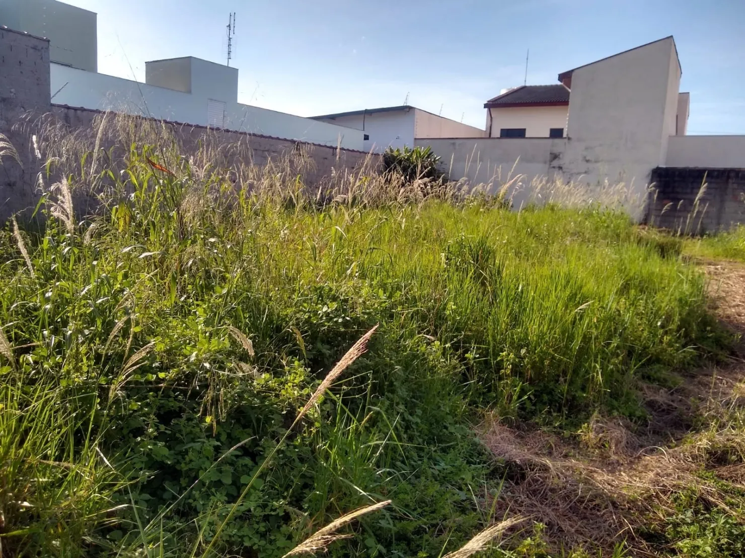 Imagem Terreno à venda 250M², Jardim Paraibá, Aparecida - SP