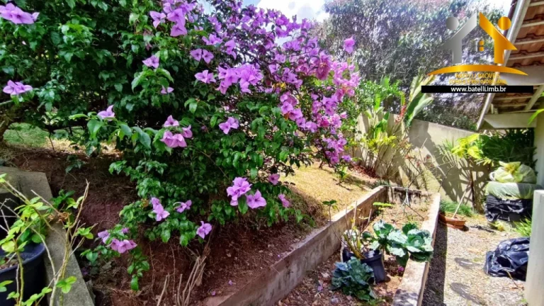 Imagem Casa a venda e locação no condomínio Chácara das Paineiras II na Granja Viana - Batelli Imóveis