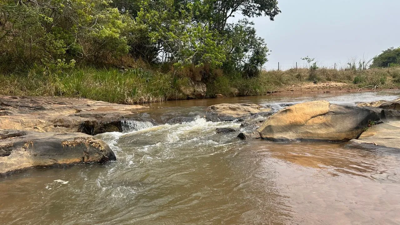 Imagem FAZENDINHA À VENDA - PASSA TEMPO (MG) 51 hectares de terra