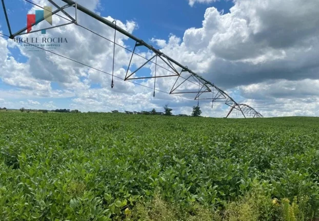 Imagem Fazenda região de Avaré SP