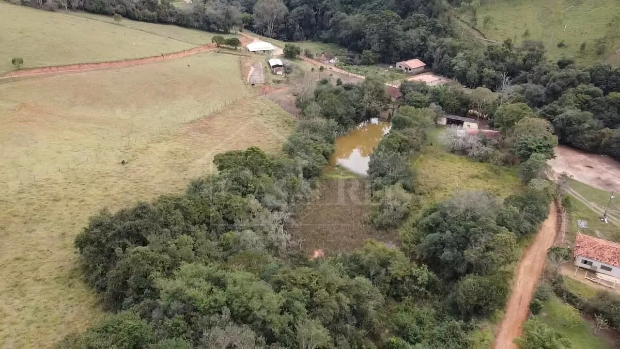 Imagem Chácara 2,4 ha à venda em Área Rural, Bandeira do Sul