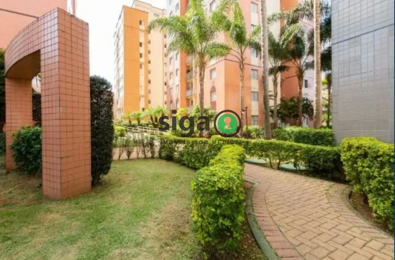 Imagem Apartamento à venda no Cambuci de 65m² com 3 dorms. (1 suíte) e 1 vaga - São Paulo