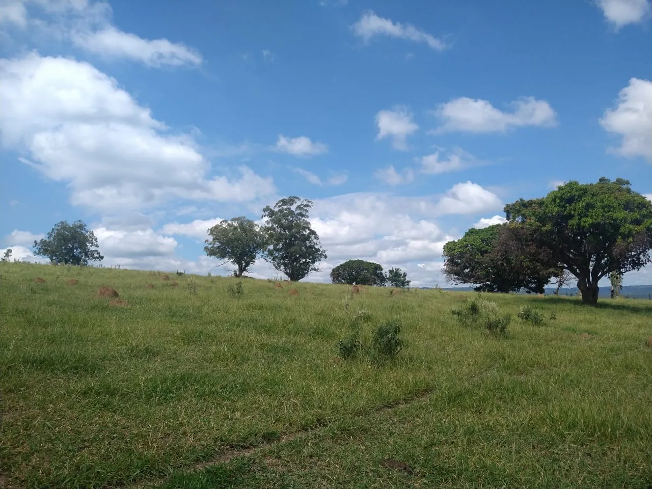 Imagem Vende-se esta área com 89 mil metros em Brigadeiro Tobias