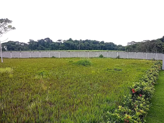 Imagem Lote para Venda em Camaragibe, Aldeia dos Camarás