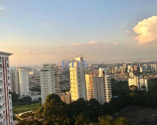 Imagem Apartamento - Padrão / Residencial / Paraisópolis
