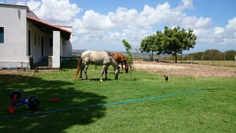 Imagem Granja para Venda em São Gonçalo do Amarante, Jardins, 3 dormitórios, 2 suítes, 4 banheiros, 6 vagas