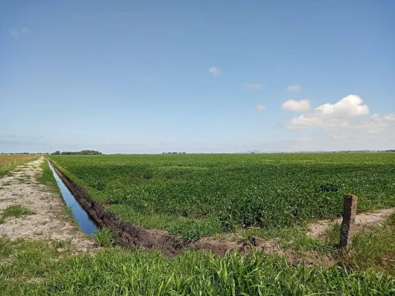 Imagem Fazenda à Venda – 194 Hectares – Viamão/RS