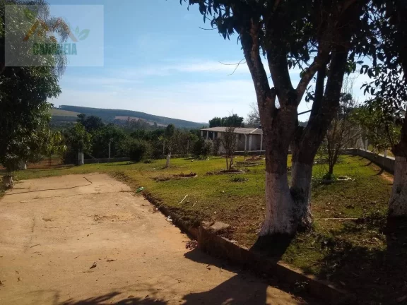 Imagem CHÁCARA CANANÉIA